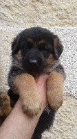 Patch